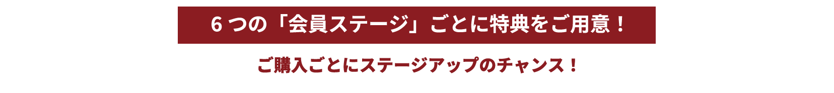 6つの「会員ステージ」ごとに特典をご用意！ご購入ごとにステージアップのチャンス！